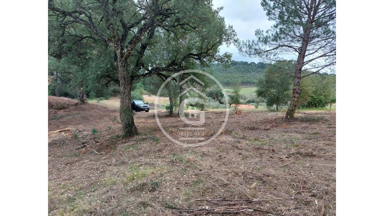 Quinta para Venda em São João da Ribeira e Ribeira de São João Foto 9