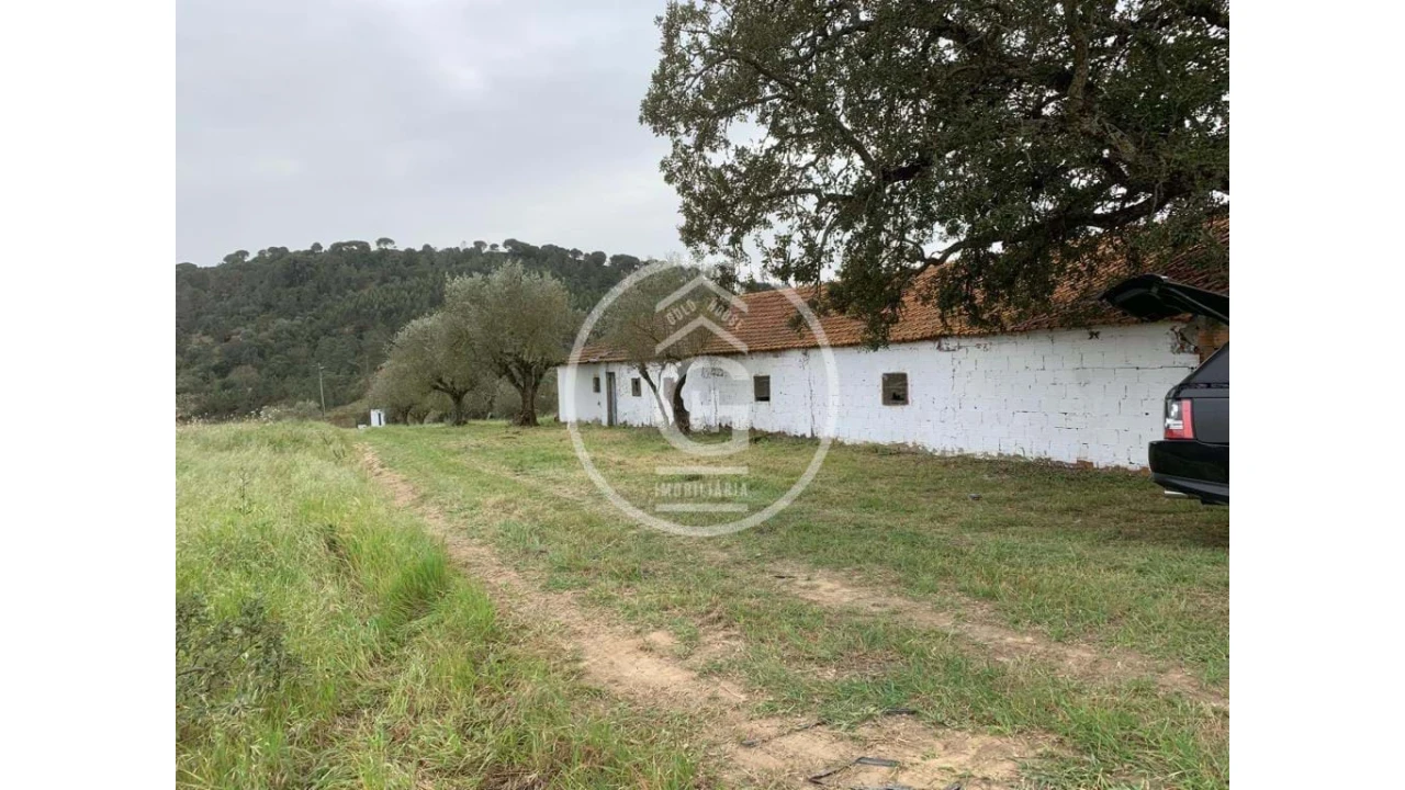 Quinta para Venda em São João da Ribeira e Ribeira de São João Foto 1