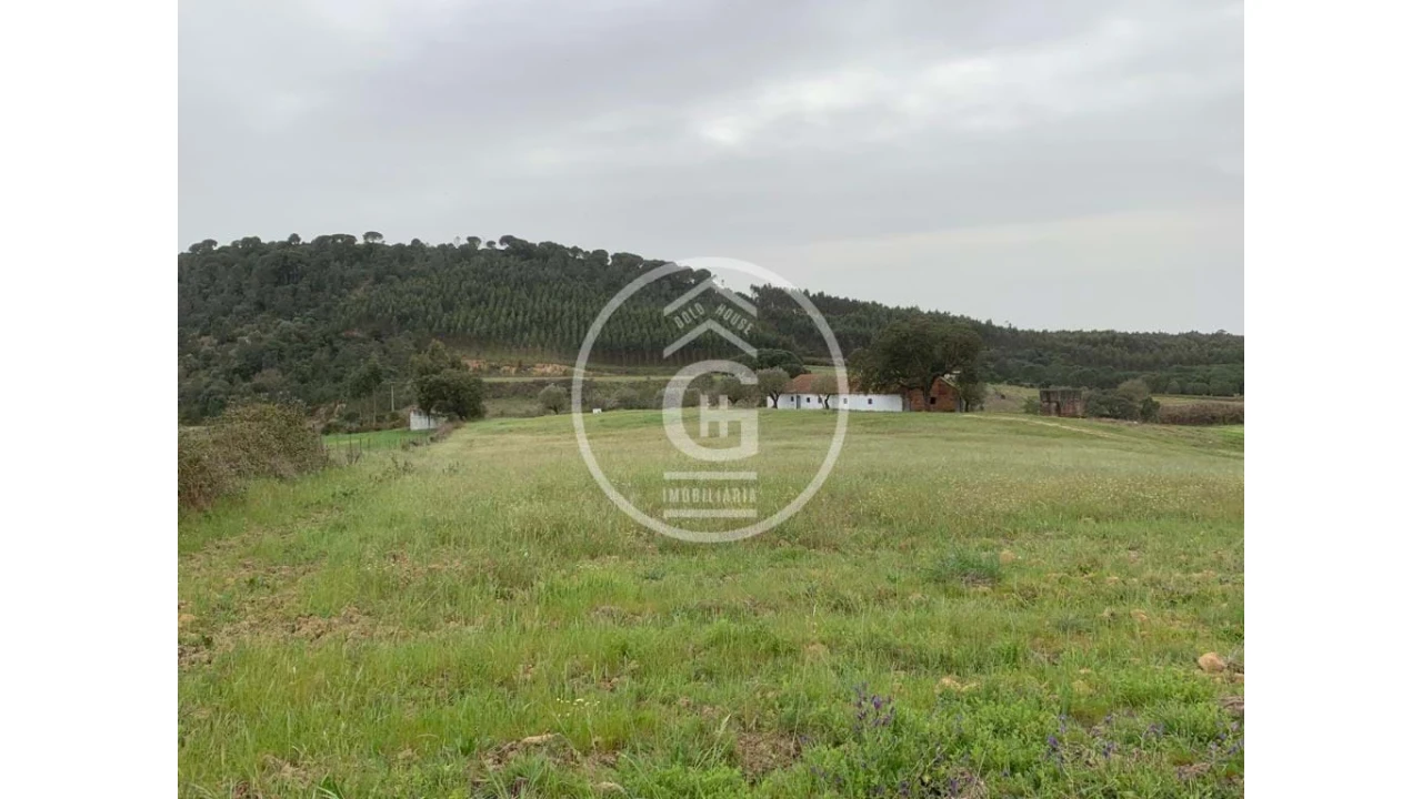 Quinta para Venda em São João da Ribeira e Ribeira de São João Foto 18