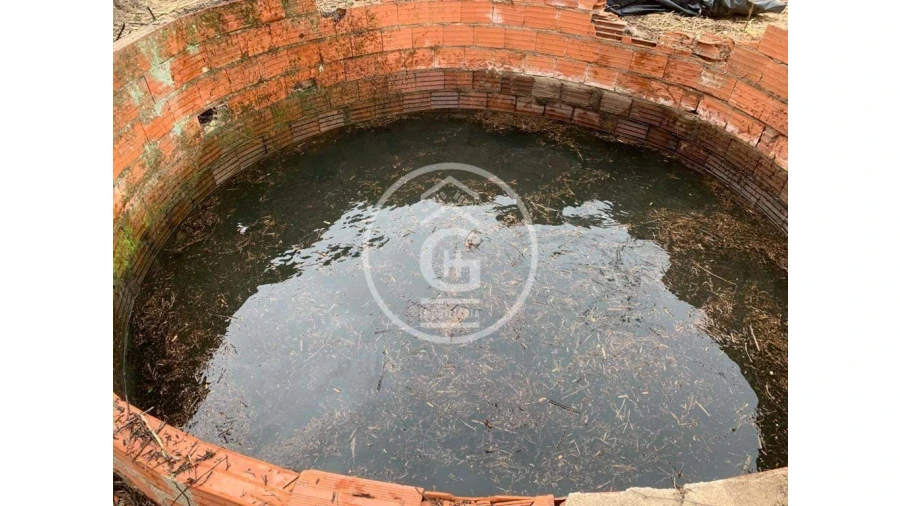 Quinta para Venda em São João da Ribeira e Ribeira de São João Foto 7