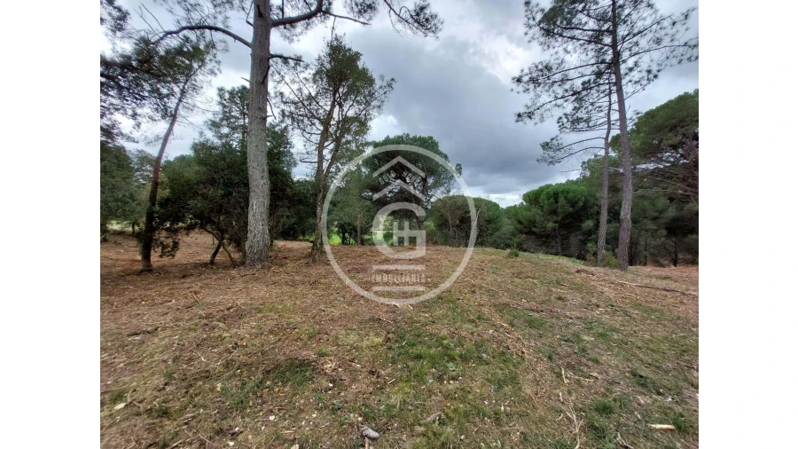 Quinta para Venda em São João da Ribeira e Ribeira de São João Foto 3