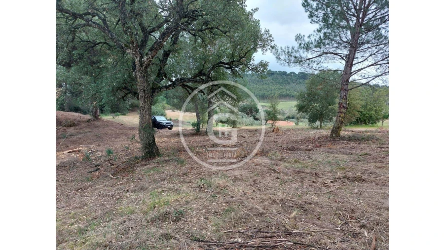 Quinta para Venda em São João da Ribeira e Ribeira de São João Foto 9