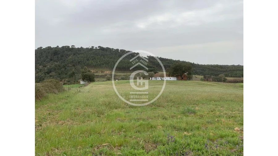 Quinta para Venda em São João da Ribeira e Ribeira de São João Foto 18