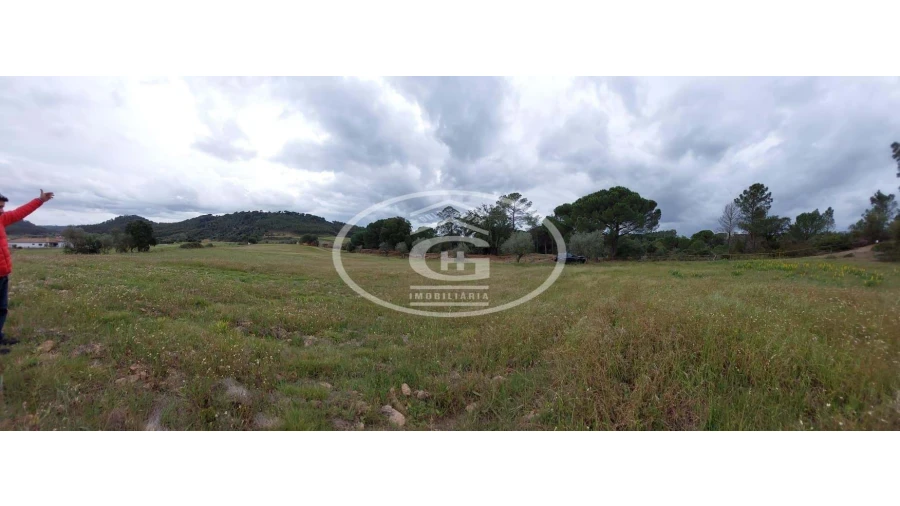 Quinta para Venda em São João da Ribeira e Ribeira de São João Foto 2