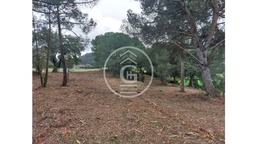 Quinta para Venda em São João da Ribeira e Ribeira de São João Foto 4