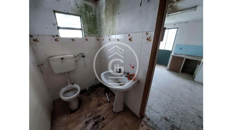 Quinta para Venda em São João da Ribeira e Ribeira de São João Foto 12