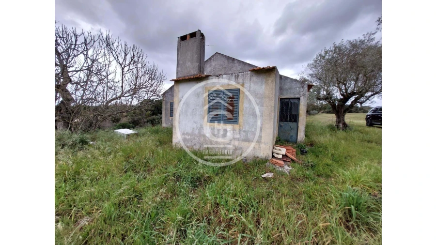 Quinta para Venda em São João da Ribeira e Ribeira de São João Foto 11