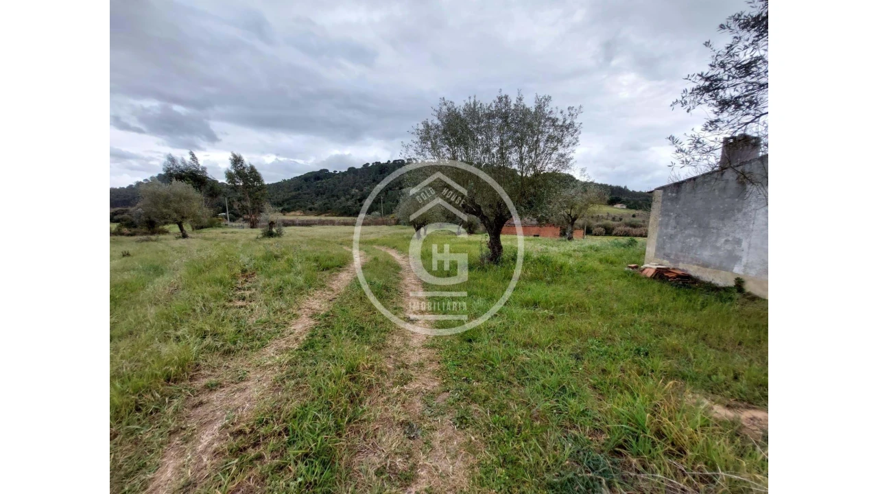Quinta para Venda em São João da Ribeira e Ribeira de São João Foto 10