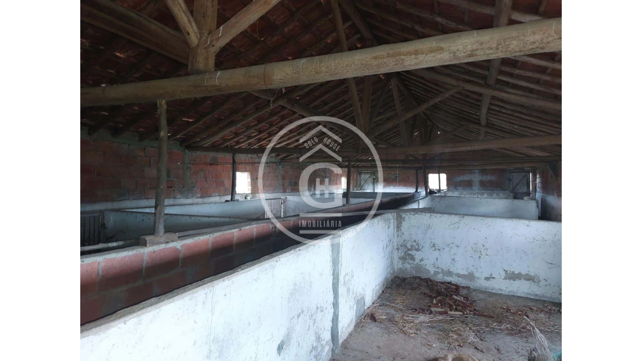 Quinta para Venda em São João da Ribeira e Ribeira de São João Foto 16