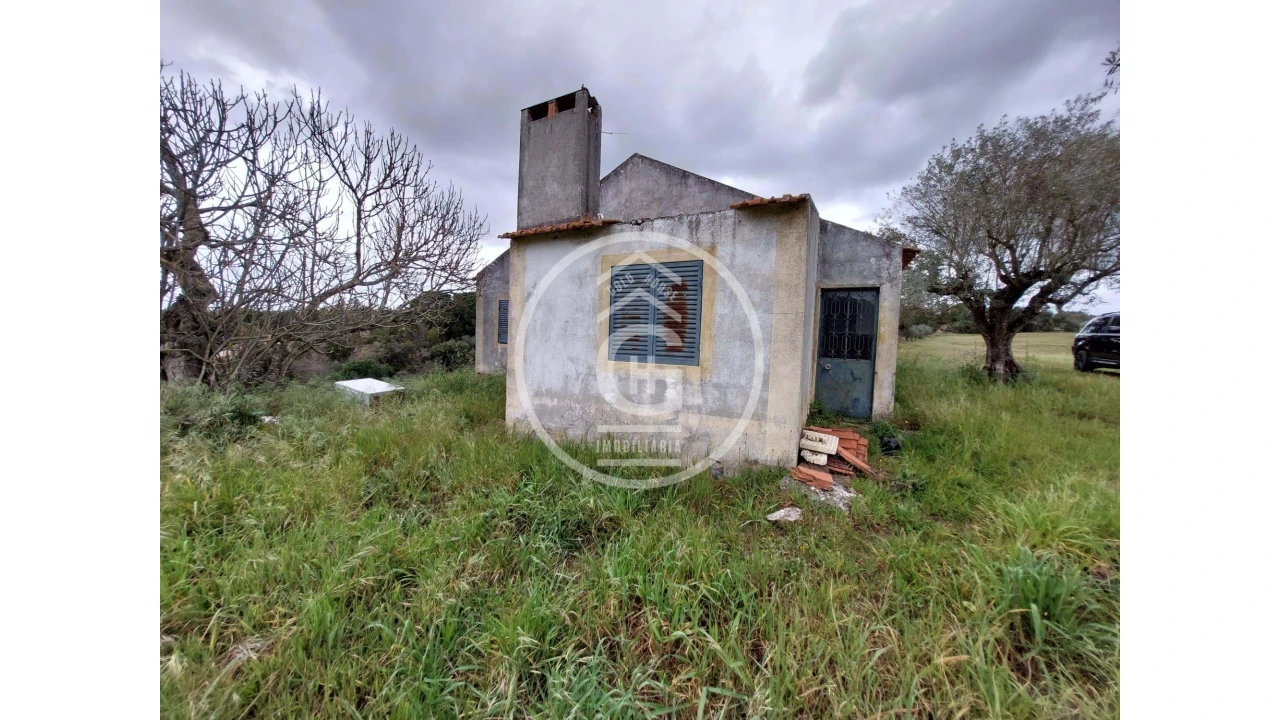 Quinta para Venda em São João da Ribeira e Ribeira de São João Foto 11