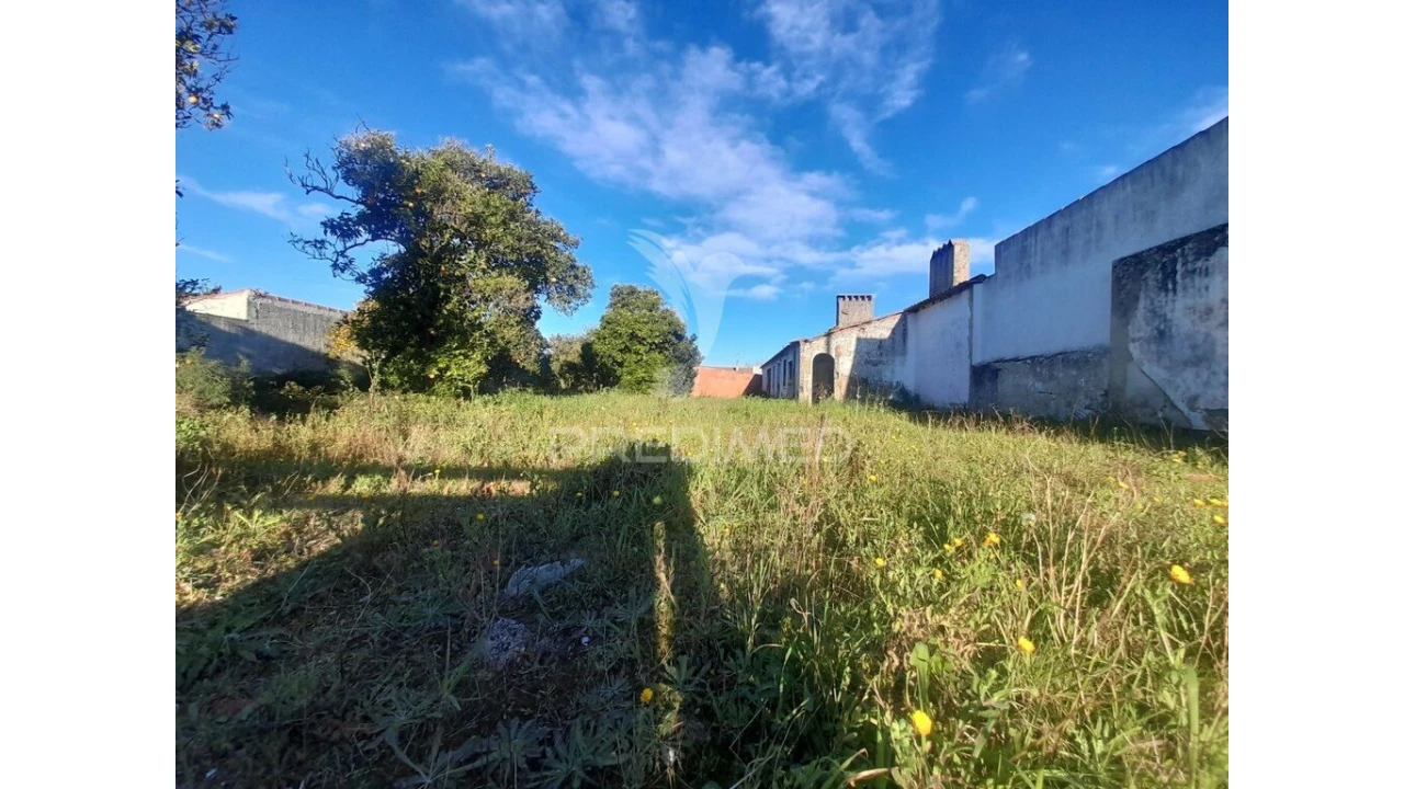 Terreno para Venda em Muge Foto 6