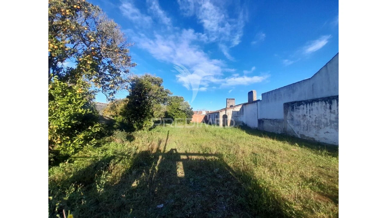 Terreno para Venda em Muge Foto 4