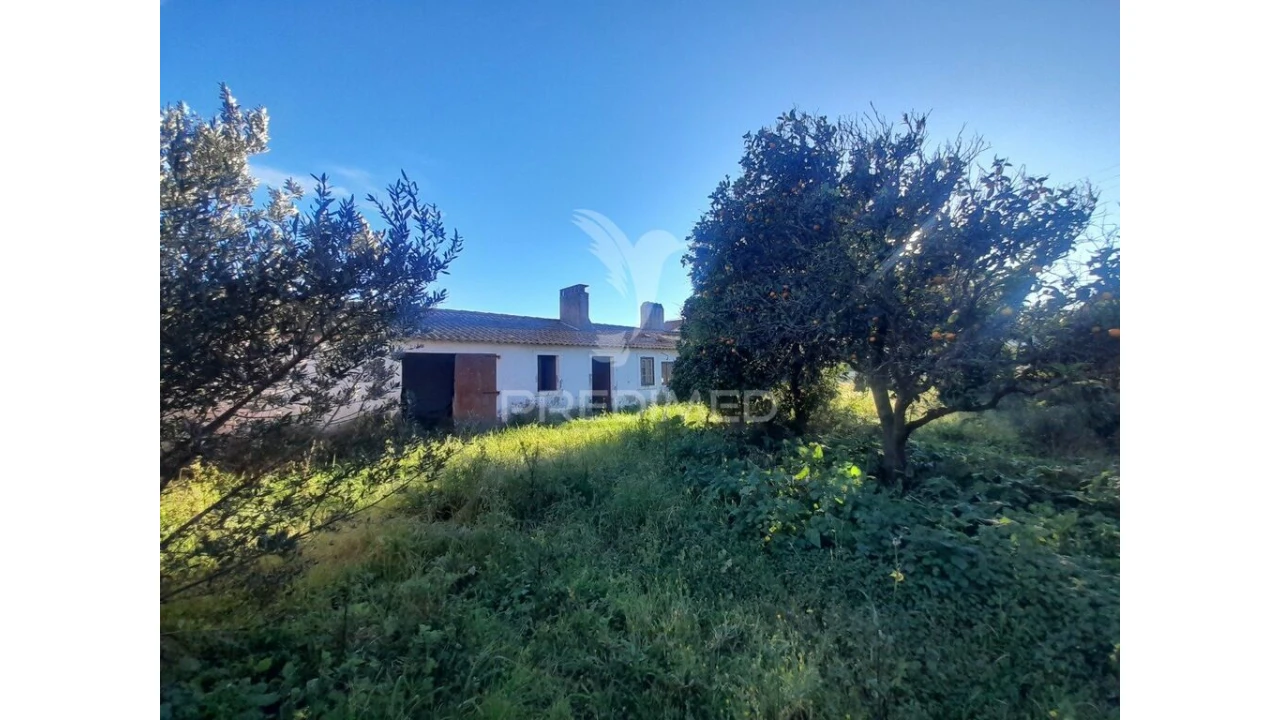 Terreno para Venda em Muge Foto 10