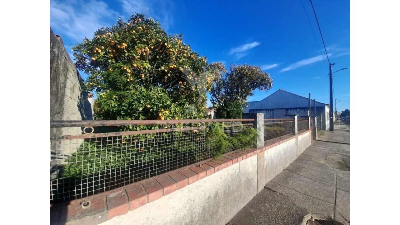 Terreno para Venda em Muge Foto 2