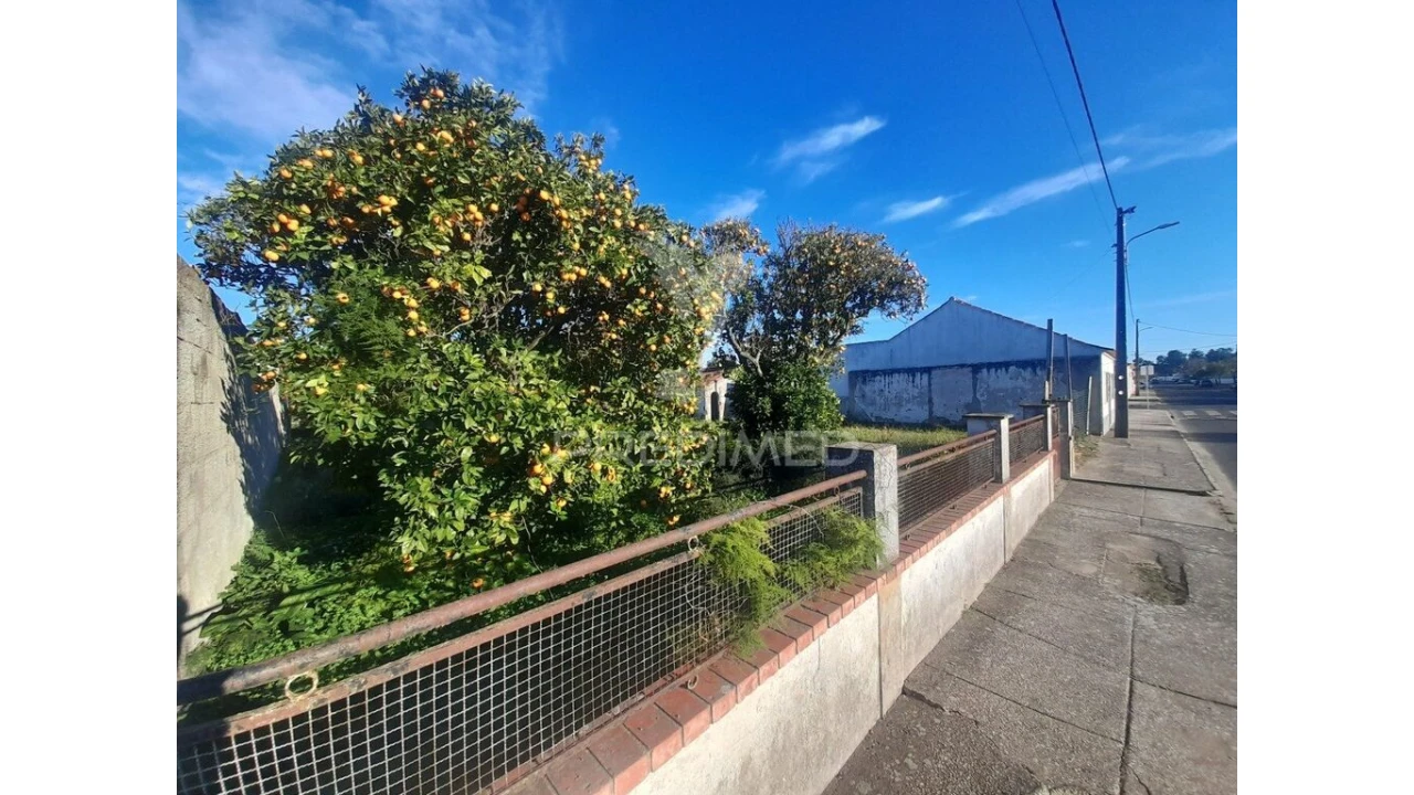 Terreno para Venda em Muge Foto 3