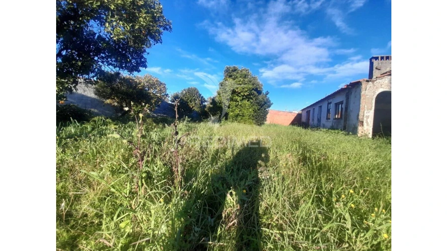 Terreno para Venda em Muge Foto 7