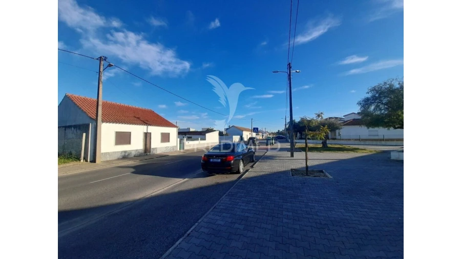 Terreno para Venda em Muge Foto 15