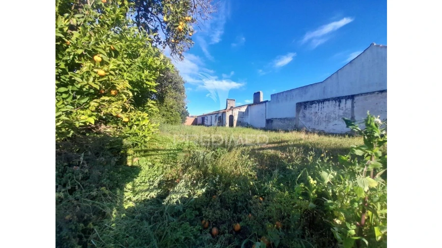 Terreno para Venda em Muge Foto 5