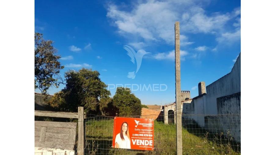 Terreno para Venda em Muge Foto 11