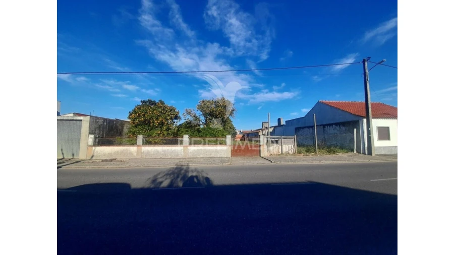 Terreno para Venda em Muge Foto 1