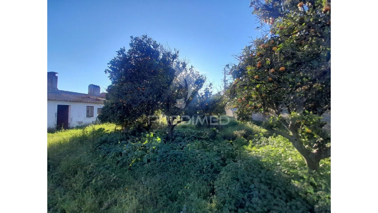 Terreno para Venda em Muge Foto 9