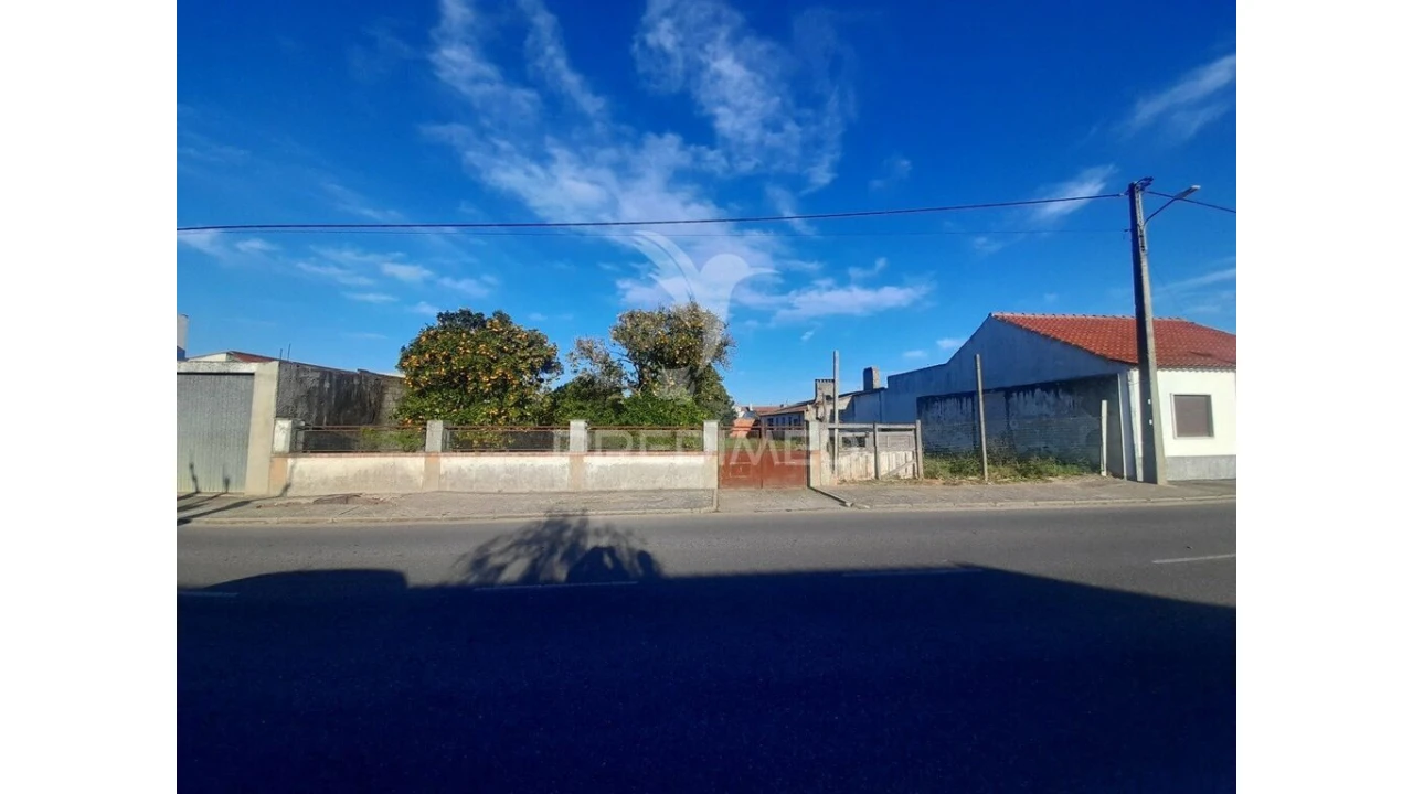 Terreno para Venda em Muge Foto 1