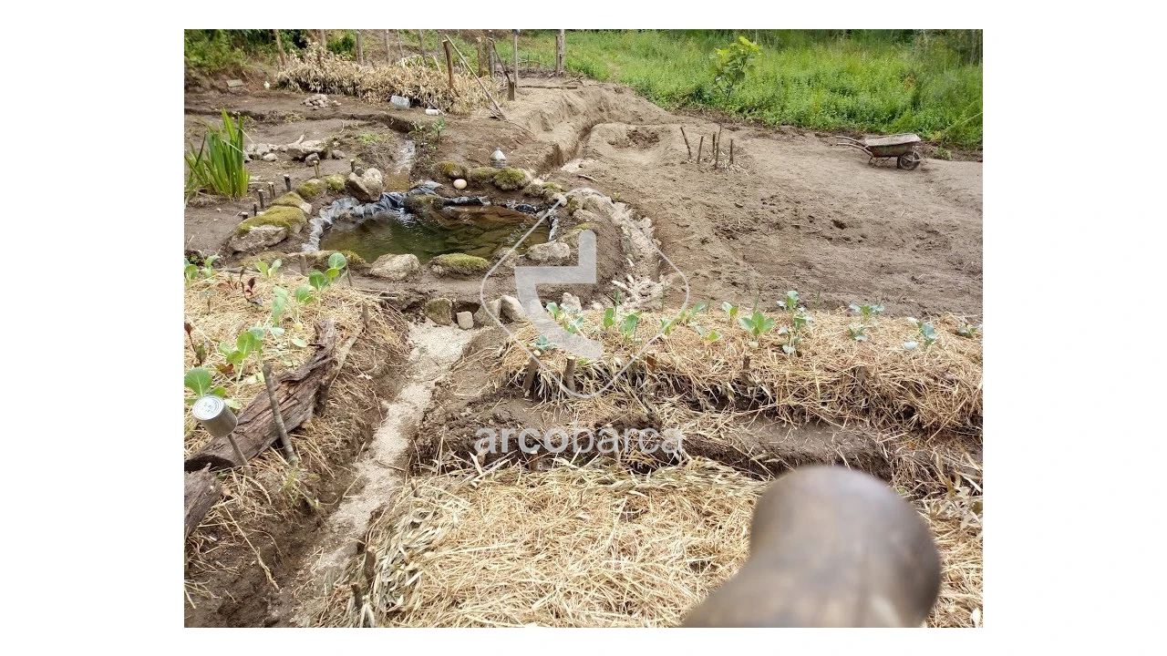 Terreno para Venda em Távora (Santa Maria e São Vicente) Foto 10