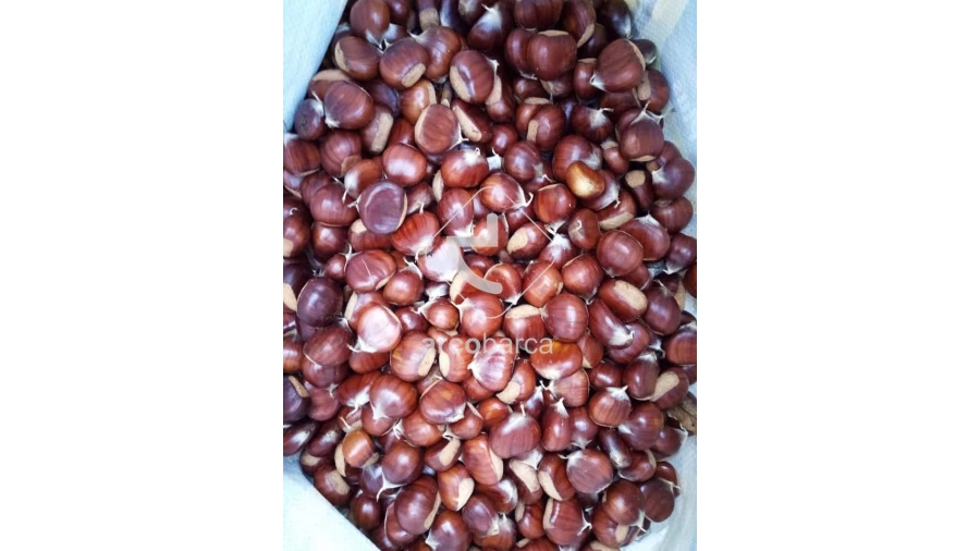 Terreno para Venda em Távora (Santa Maria e São Vicente) Foto 23