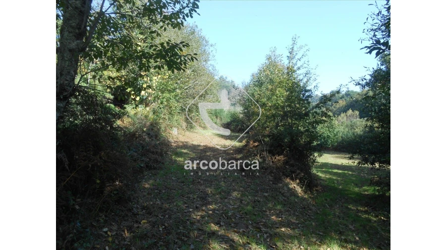 Terreno para Venda em Távora (Santa Maria e São Vicente) Foto 22