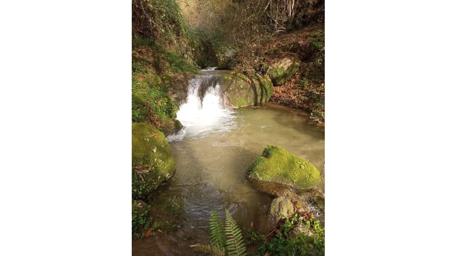 Terreno para Venda em Távora (Santa Maria e São Vicente) Foto 17