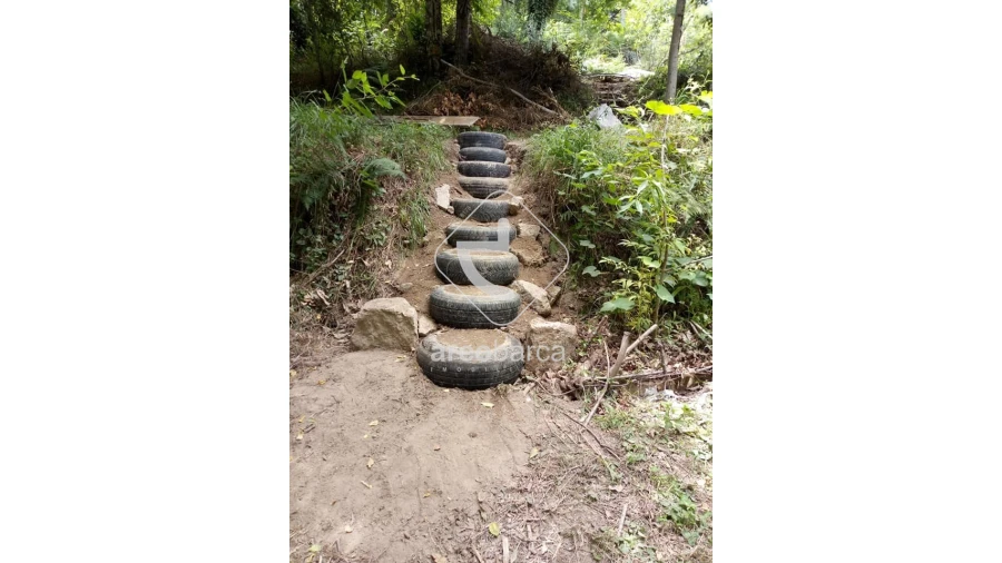 Terreno para Venda em Távora (Santa Maria e São Vicente) Foto 6