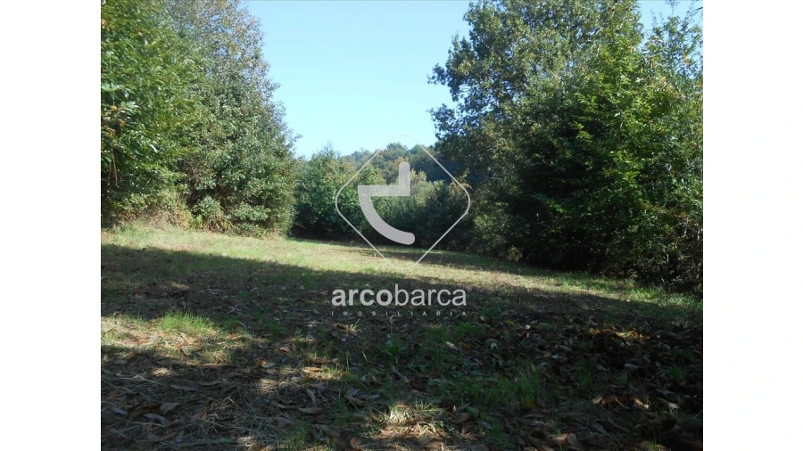 Terreno para Venda em Távora (Santa Maria e São Vicente) Foto 21