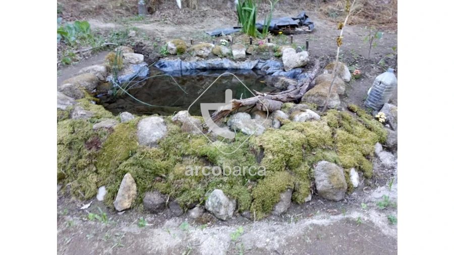 Terreno para Venda em Távora (Santa Maria e São Vicente) Foto 11