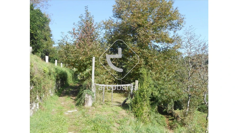 Terreno para Venda em Távora (Santa Maria e São Vicente) Foto 12