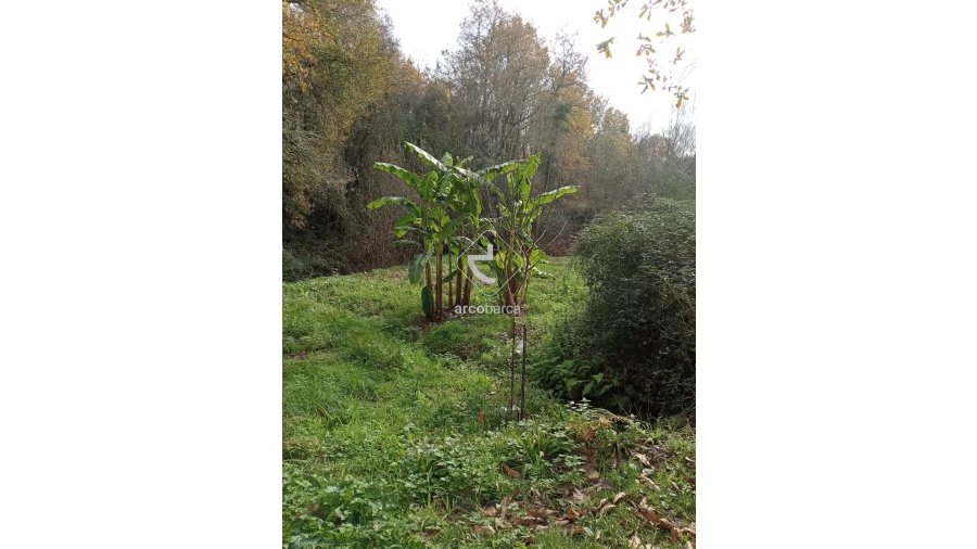Terreno para Venda em Távora (Santa Maria e São Vicente) Foto 25