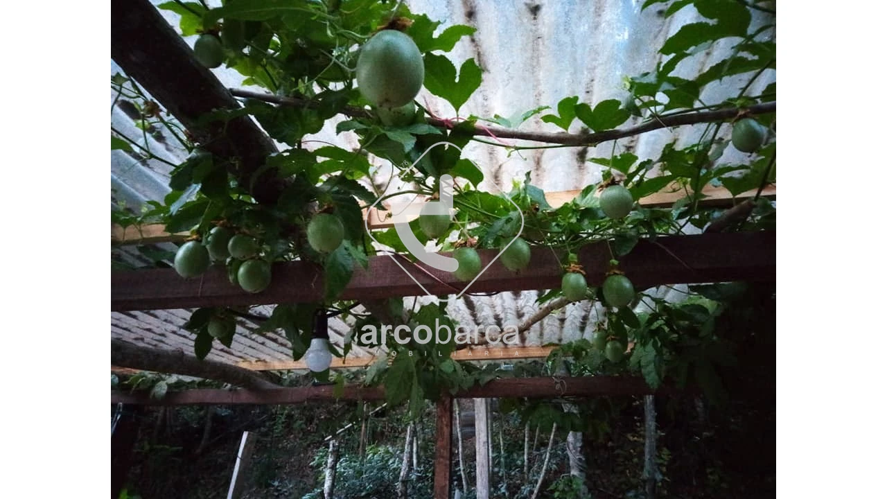 Terreno para Venda em Távora (Santa Maria e São Vicente) Foto 19