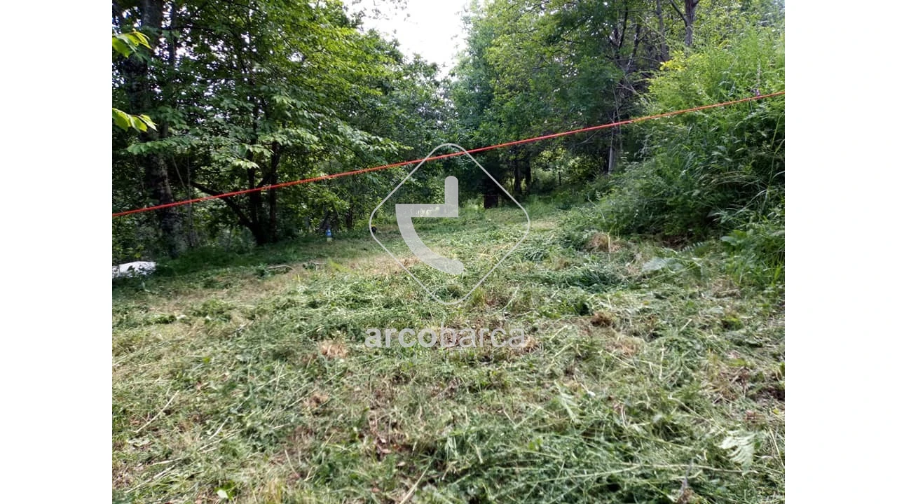 Terreno para Venda em Távora (Santa Maria e São Vicente) Foto 7