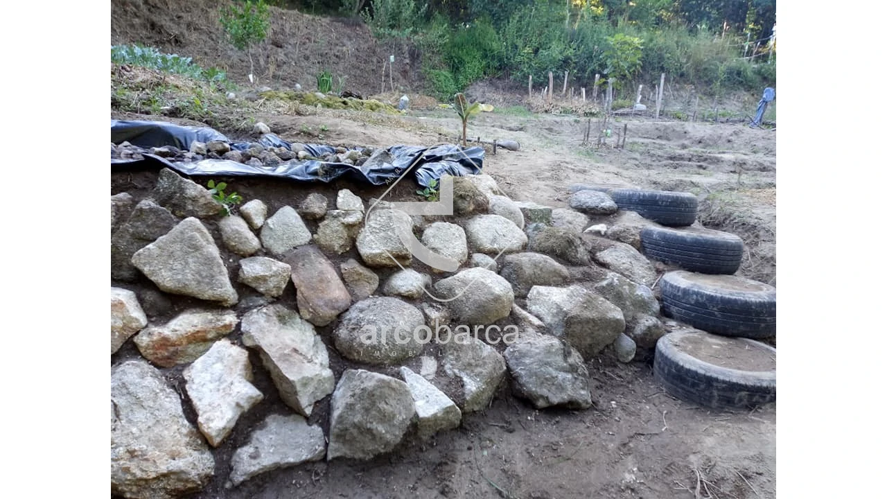 Terreno para Venda em Távora (Santa Maria e São Vicente) Foto 16
