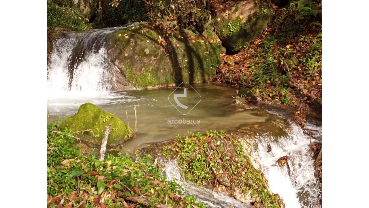 Terreno para Venda em Távora (Santa Maria e São Vicente) Foto 6