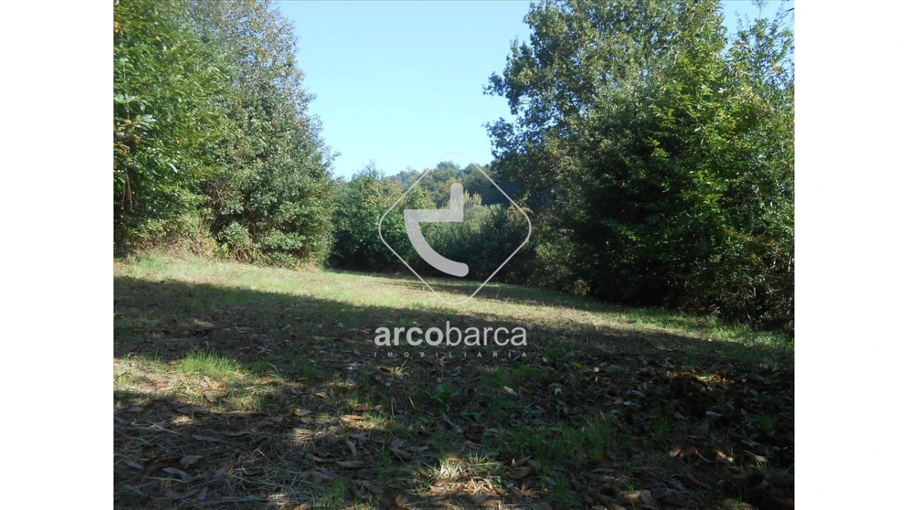 Terreno para Venda em Távora (Santa Maria e São Vicente) Foto 21