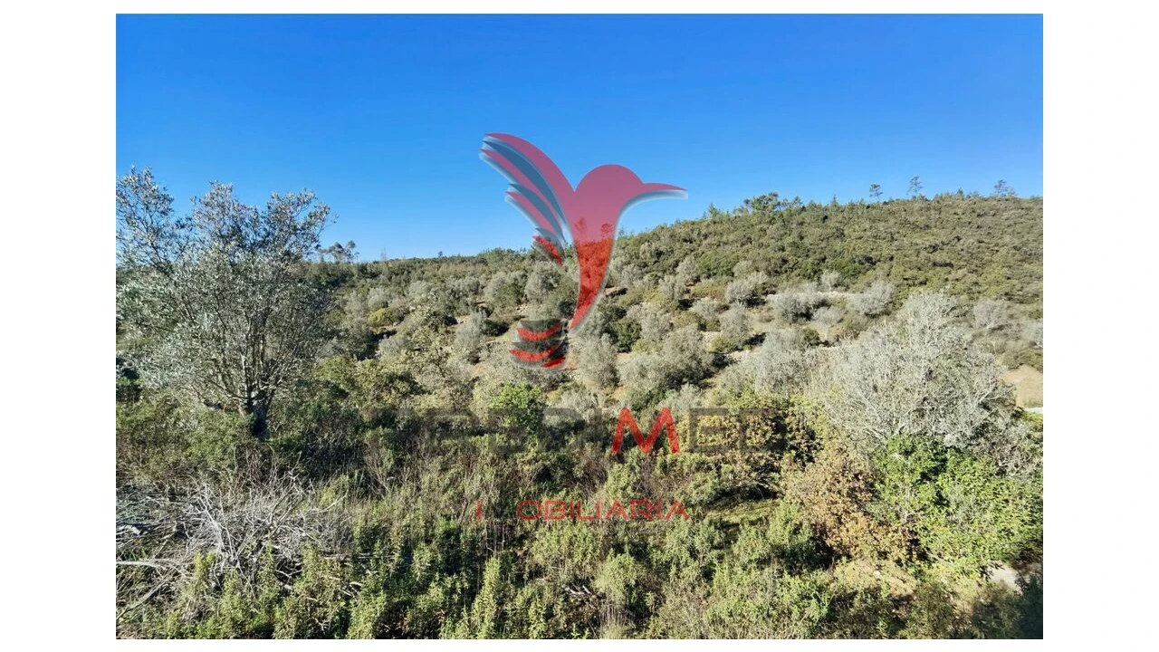 Terreno para Venda em Abrã Foto 18