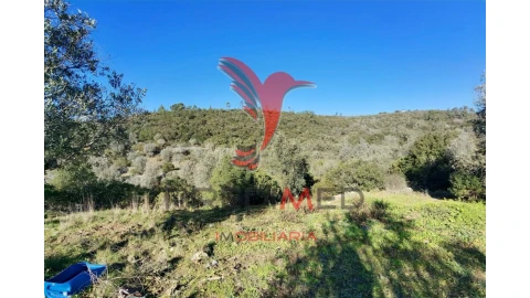 Terreno para Venda em Abrã