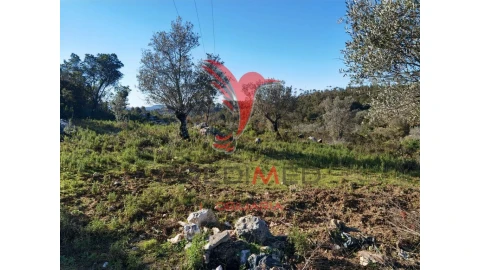 Terreno para Venda em Abrã
