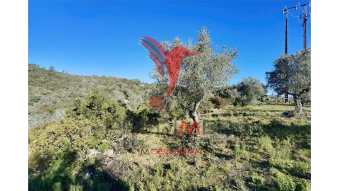 Terreno para Venda em Abrã