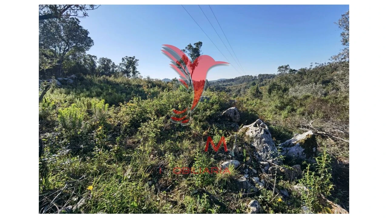 Terreno para Venda em Abrã Foto 20
