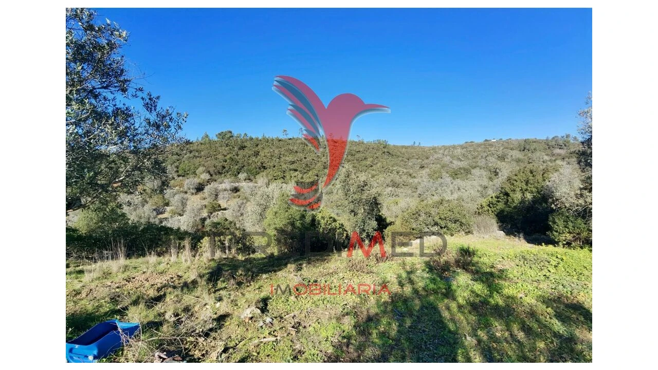 Terreno para Venda em Abrã Foto 17