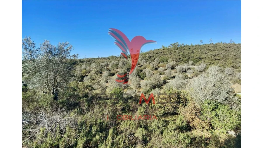 Terreno para Venda em Abrã Foto 18