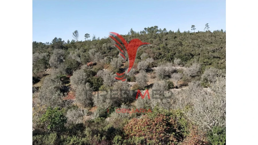 Terreno para Venda em Abrã Foto 14