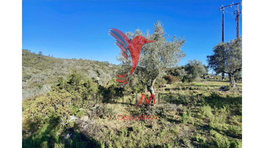 Terreno para Venda em Abrã Foto 19