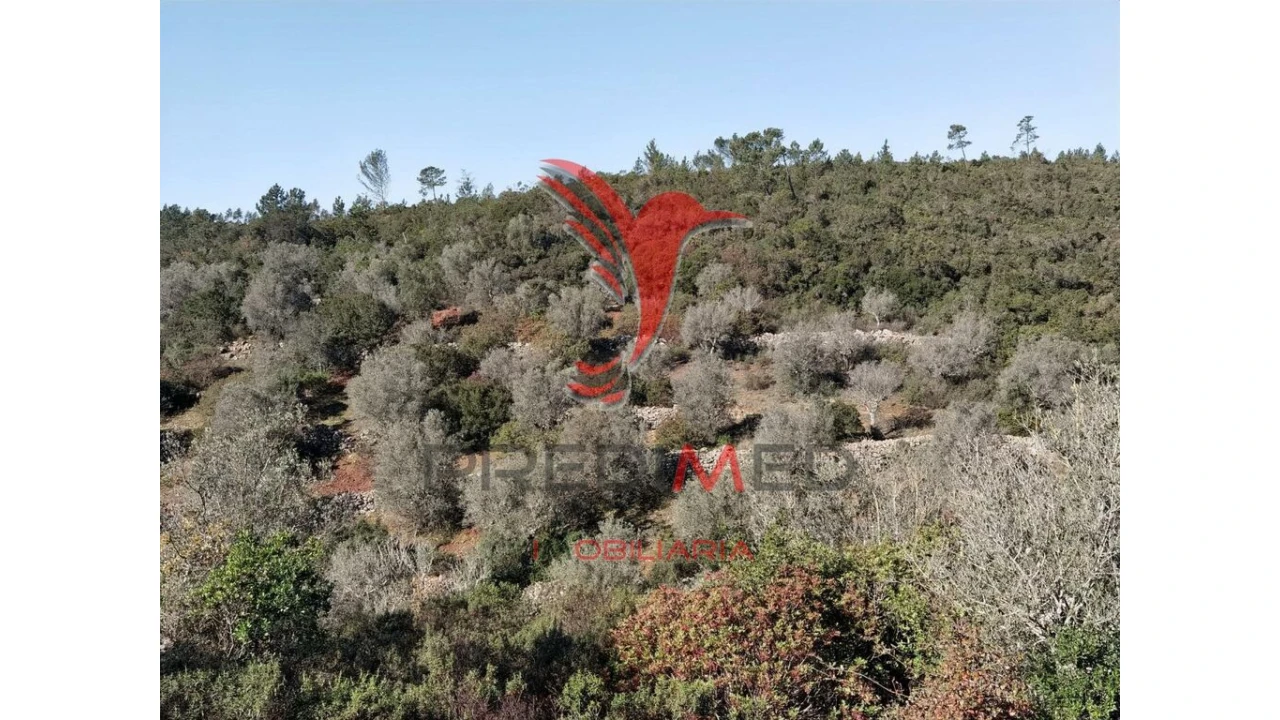 Terreno para Venda em Abrã Foto 14